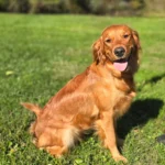 imgi_111_242571_eef9559d68924c07a582c04dc1e5208e~mv2