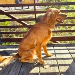 imgi_112_242571_1c40003177524c9e8fb4905b4e996090~mv2