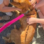 imgi_113_242571_f02c62e427c642cbbc5824d7cf90f4c1~mv2