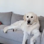 imgi_128_242571_053d214c73c347d29c9a113a63e3e842~mv2