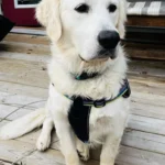 imgi_130_242571_bb026b4567fd4cd8b826c1db15dc4866~mv2