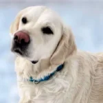 imgi_144_242571_fcab92a8ae32498b81a96f77d6bdaa92~mv2