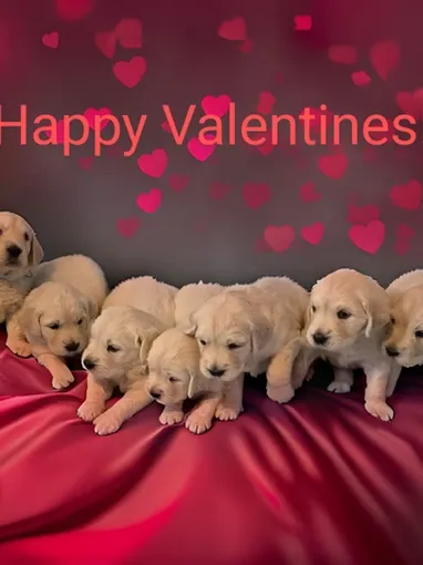 imgi_17_ee7bc4_d6194791dc244e288812bc5a5ead3007~mv2