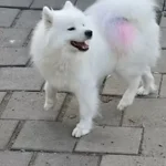 imgi_18_20250911_193227(0)