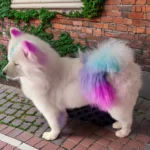 imgi_26_ee7bc4_b01fe214864d41268ed62b8d9c19458a~mv2