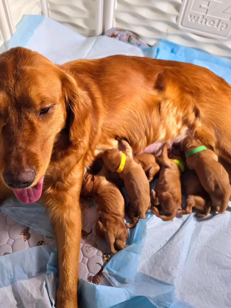 imgi_33_ee7bc4_0125a97485ec48eab78c89beea4fd1b8~mv2