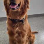 imgi_44_242571_8f88071559ac438982e13ca254f5cc45~mv2