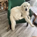 imgi_47_ee7bc4_3b16df5f12f543059970a5f0fb9a776e~mv2