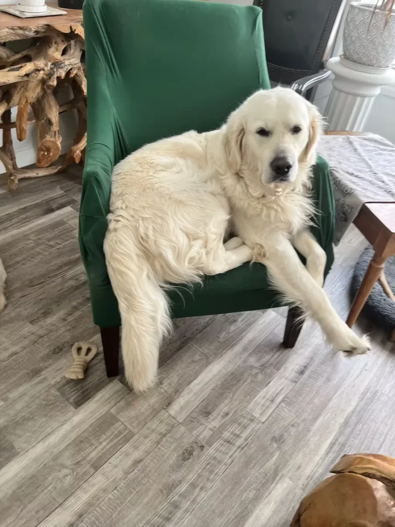 imgi_47_ee7bc4_3b16df5f12f543059970a5f0fb9a776e~mv2